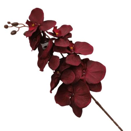 5-Branches-orchidées-artificielles-105cm-8-fleurs-bordeaux