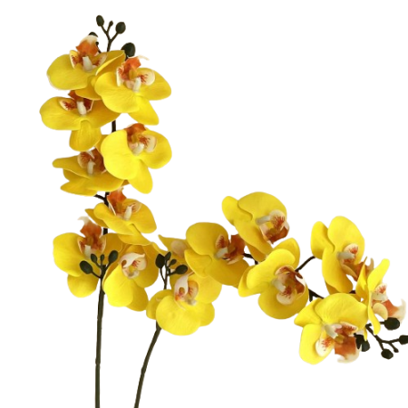 5-Branches-orchidées-artificielles-61cm-jaune