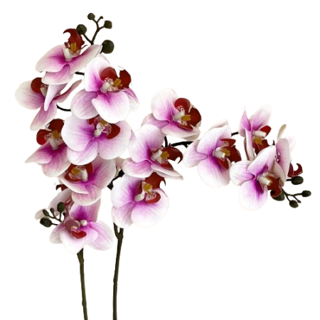5-Branches-orchidées-artificielles-61cm-rose-pâle