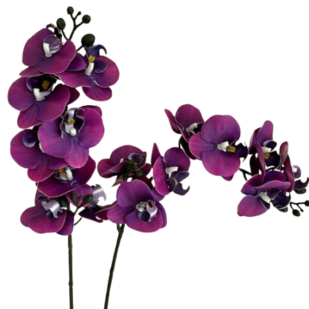 5-Branches-orchidées-artificielles-61cm-violet