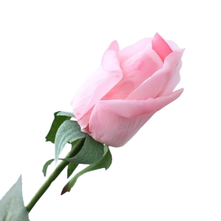 Roses-artificielles-haut-de-gamme-rose
