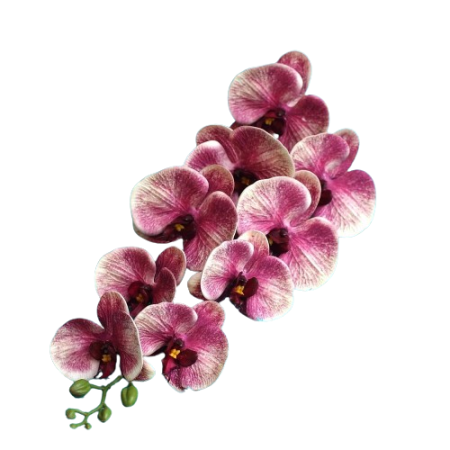 Tige-orchidée-artificielle-98cm-magenta
