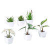 Lot de 6 plantes artificielles avec pot blanc