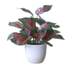 Plante artificielle aglaonema rouge en pot